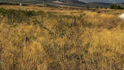 Terreno en venta en 03650 - Vista 5