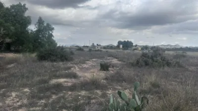 Terraced house in Campo photo 7
