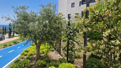 Apartment in Reserva del Higuerón photo 12