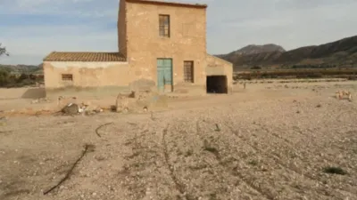Rustic Finca in La Serreta photo 3