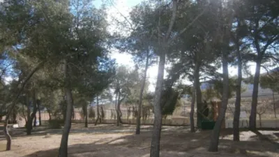 Finca rústica en Casas del Señor photo 69