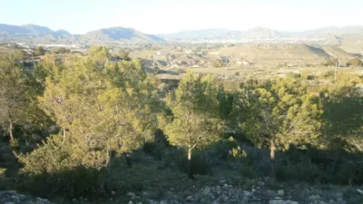 Finca rústica en Serra Vella photo 23