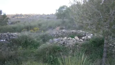 Finca rústica en Serra Vella photo 24