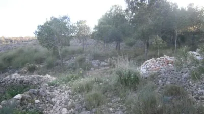 Finca rústica en Serra Vella photo 25