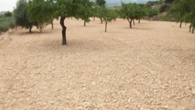 Terreno en venta en Campo - Vista 2