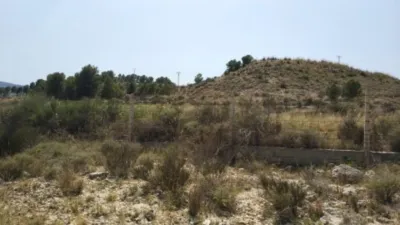 Terreno en venta en Monóvar - Zona Paraje La Pedrera - Vista 3