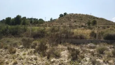 Terreno en venta en Monóvar - Zona Paraje La Pedrera - Vista 4