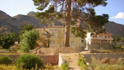 Rustic Finca in Centro Zone photo 8