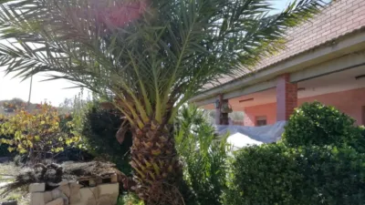 Chalet in Los Molinos photo 11