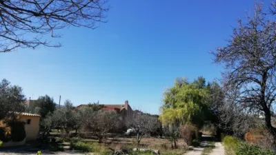 Chalet in Los Molinos photo 15