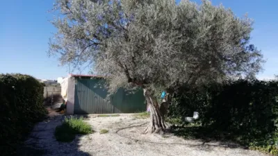 Chalet in Los Molinos photo 17