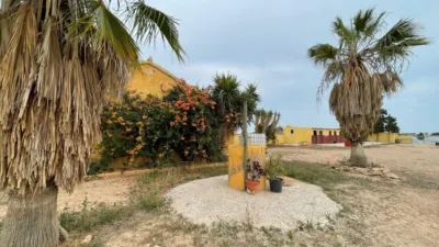 Finca rústica en venta en Balsicas, Santo Ángel (Distrito Pedanías Este. Murcia Capital) de 400.000 €