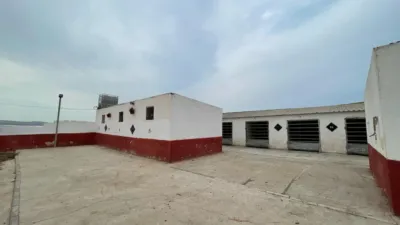 Finca rústica en venta en Balsicas, Santo Ángel (Distrito Pedanías Este. Murcia Capital) de 400.000 €