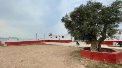Finca rústica en venta en Balsicas, Santo Ángel (Distrito Pedanías Este. Murcia Capital) de 400.000 €