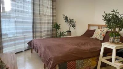 Apartment in Portals Nous-Bendinat photo 9