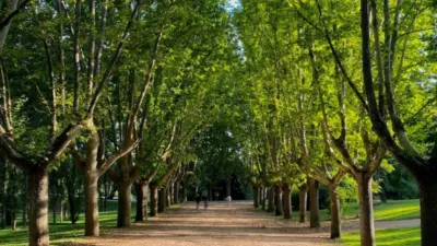 Piso en alquiler en Calle del Cardenal Cisneros, cerca de Calle de Viriato - Imagen 25