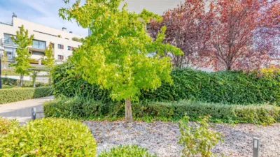 Piso en alquiler en Aravaca - Imagen 59