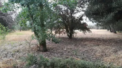 Rustic farm in Viña Urbanization photo 11