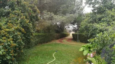 Rustic farm in Viña Urbanization photo 13