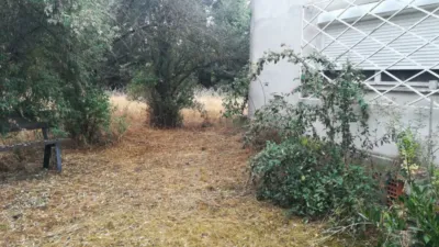 Rustic farm in Viña Urbanization photo 14