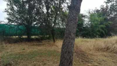 Rustic farm in Viña Urbanization photo 17
