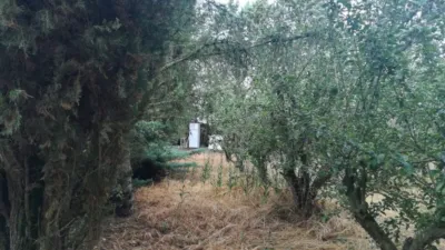 Rustic farm in Viña Urbanization photo 24
