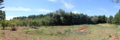 House in Grijota photo 14