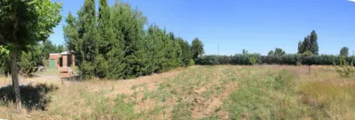 House in Grijota photo 15