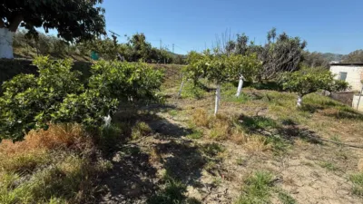 House on Cortijo Benitez Street photo 27