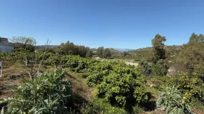 House on Cortijo Benitez Street photo 31