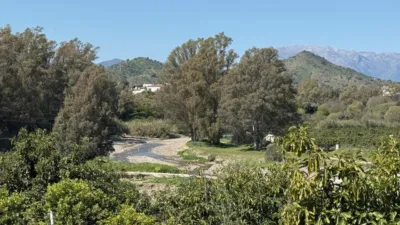 House on Cortijo Benitez Street photo 32