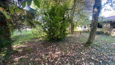 Rustic farm on Calle Barrio Berrio photo 12