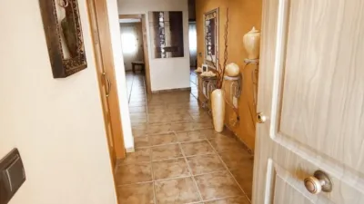 Chalet in Los Ramos photo 3