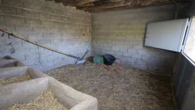 Rustic farm on Diseminado Street photo 18
