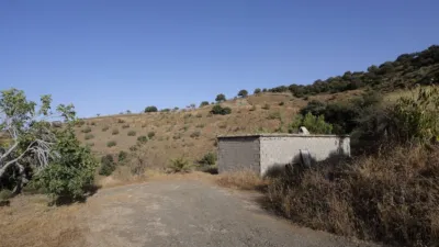 Rustic farm on Diseminado Street photo 23