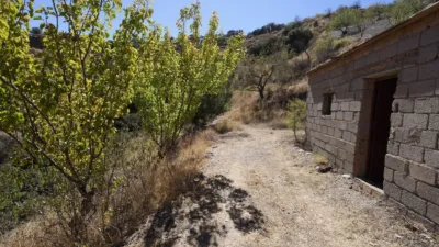 Rustic farm on Diseminado Street photo 38