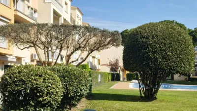 Apartment in Passatge Badia Gran Reserva photo 45