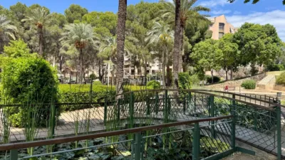 Piso en venta en Paseo Germanías, República Argentina-Iglesia Cristo Rey (Distrito Gandia Ciutat. Gandia) de 169.000 €