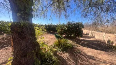 Finca rústica en venta en Lliria, Urbanitzacions-La Concòrdia (Llíria) de 200.000 €