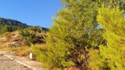 Terreno en venta en Calle Rural de Bojadillas - Vista 5
