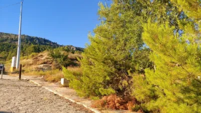 Terreno en venta en Nerpio - Vista 3