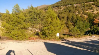 Terreno en venta en Nerpio - Más