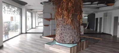 Local comercial en alquiler en Cuatro Caminos - Plaza de La Cubela - Vista 2
