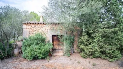 Rustic Finca on Son Amagat Street photo 53