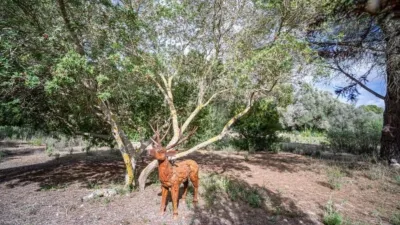 Rustic Finca on Son Amagat Street photo 57