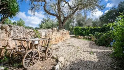 Rustic Finca on Son Amagat Street photo 58