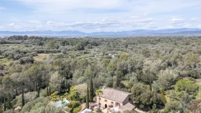 Rustic Finca on Son Amagat Street photo 64