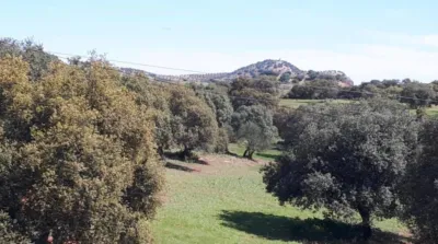 House in Andalusia photo 30