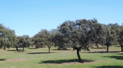 House in Andalusia photo 31