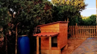 Chalet in Castilla La Mancha photo 26